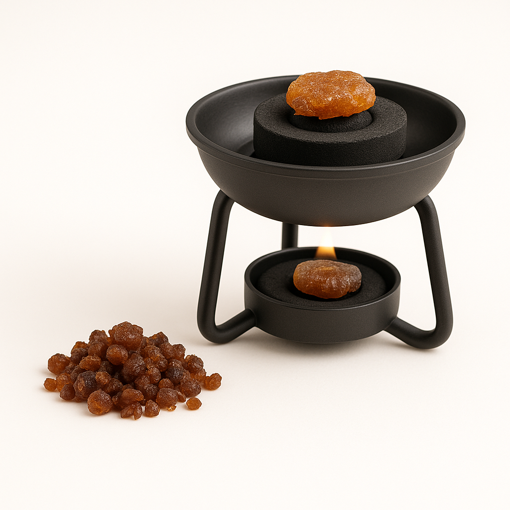 Myrrhe (Commiphora myrrha)