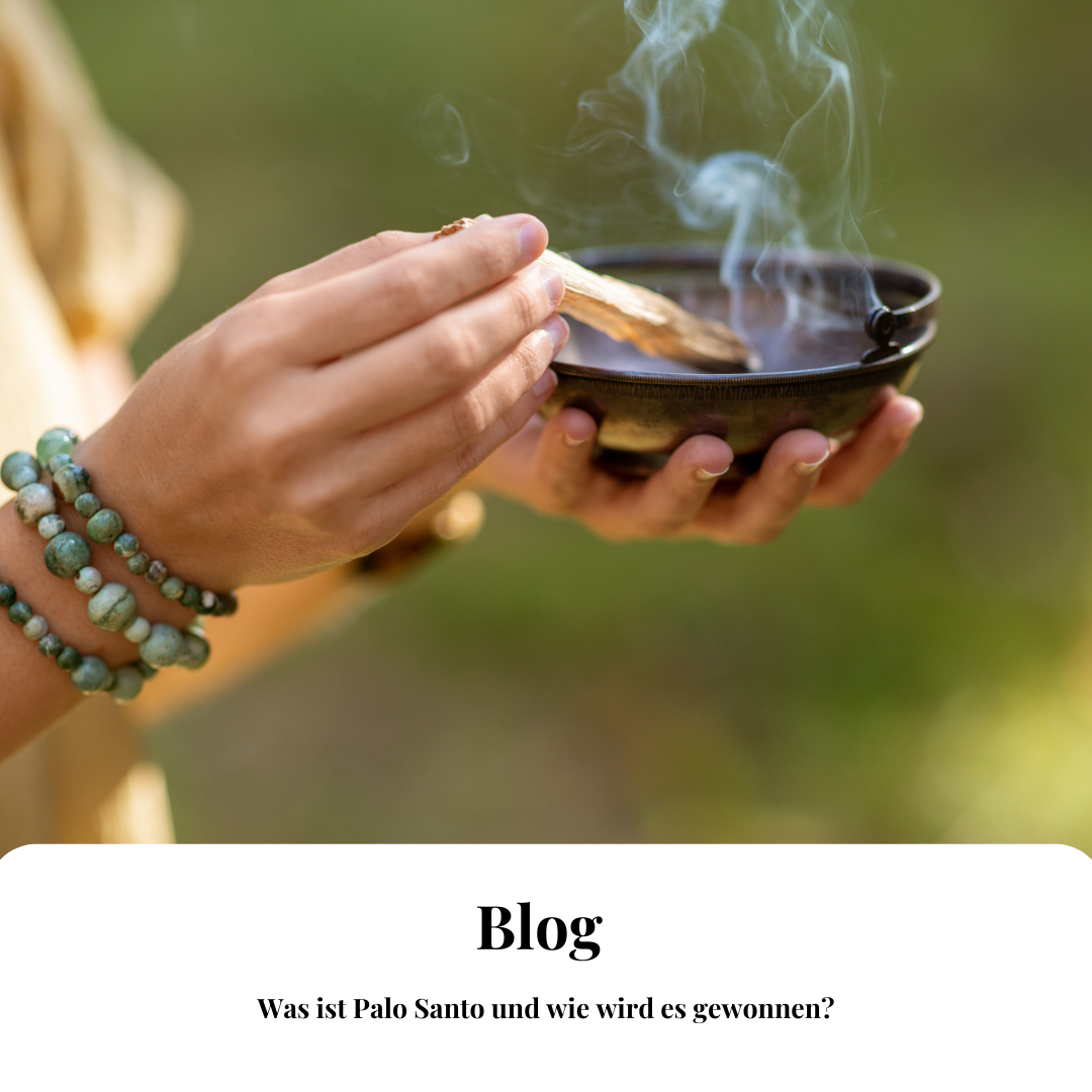 Was ist Palo Santo und wie wird es gewonnen?